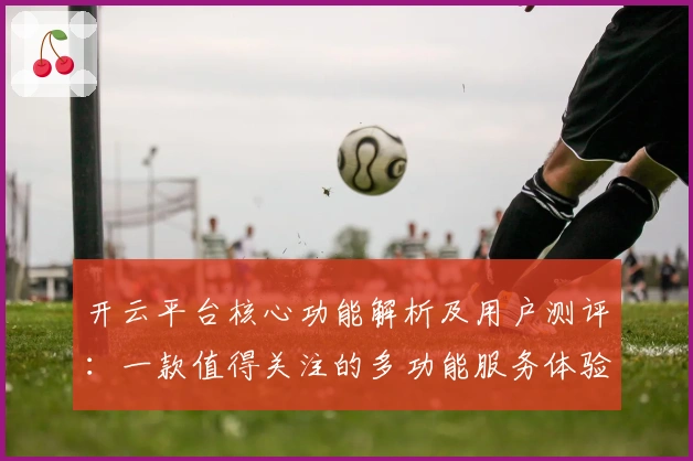开云平台核心功能解析及用户测评：一款值得关注的多功能服务体验